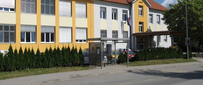 Dislocirana enota Adamičeva