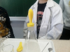 rbt
