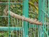 IMG-8e8871c2a6e40b4823f9cb509905b0c8-V