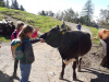 img-eb19d65699c3e9020c3d787bce6756b6-v